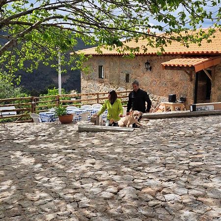 Refugio Dos Cartolas São Mamede de Infesta Εξωτερικό φωτογραφία