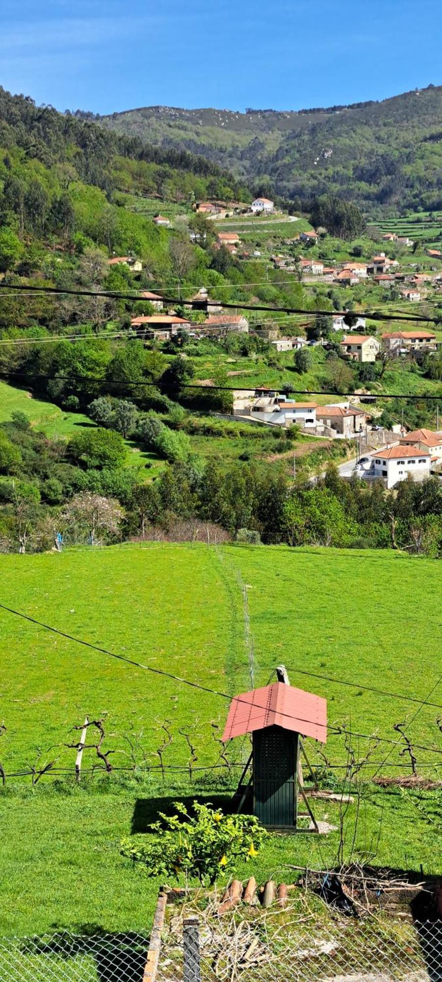 Refugio Dos Cartolas São Mamede de Infesta Εξωτερικό φωτογραφία