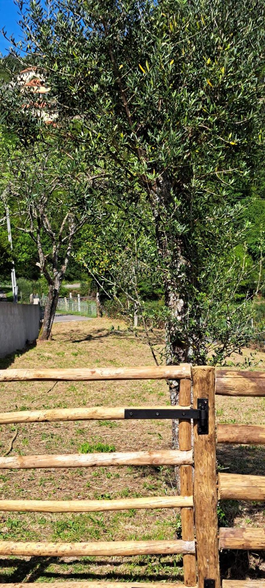 Refugio Dos Cartolas São Mamede de Infesta Εξωτερικό φωτογραφία